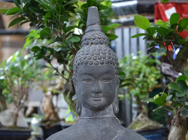 Guide d'achat pour des retraites spirituelles recommandées